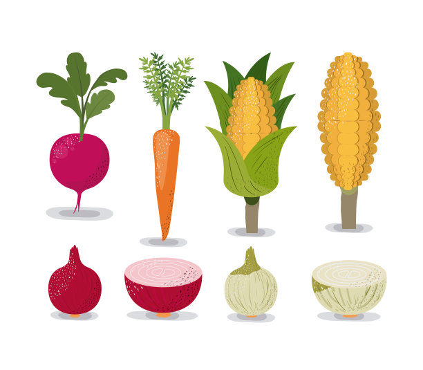 白色的背景与彩色蔬菜，甜菜，洋葱，胡萝卜和玉米图片下载