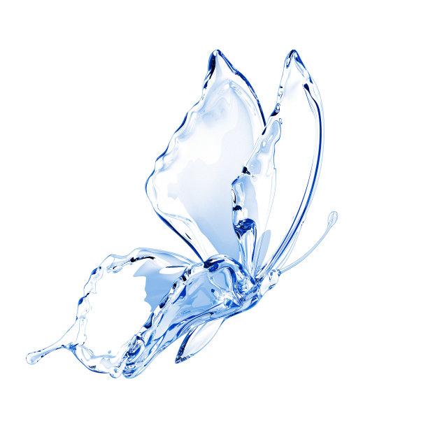 蝴蝶照片素材ID：310917942