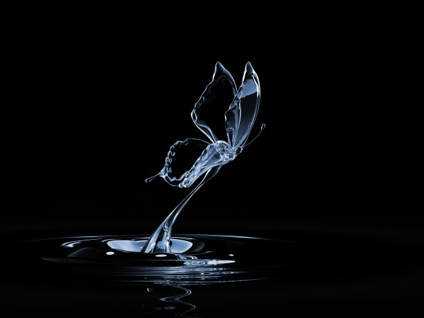 水的蝴蝶图片下载