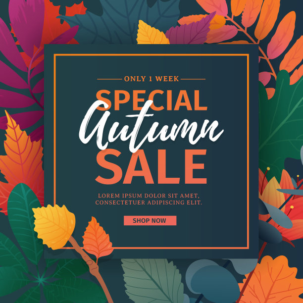 模板设计折扣横幅秋季季节。秋季特卖海报，有花草和秋叶装饰。布局提供和推广的自然，花卉背景。向量。图片下载