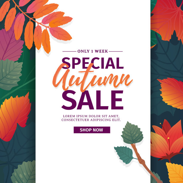 模板设计折扣横幅秋季季节。秋季特别促销海报，有花，叶装饰。秋天的布局提供自然，花卉背景。向量图片下载