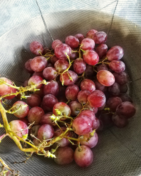 新鲜水果，葡萄，供食用图片下载