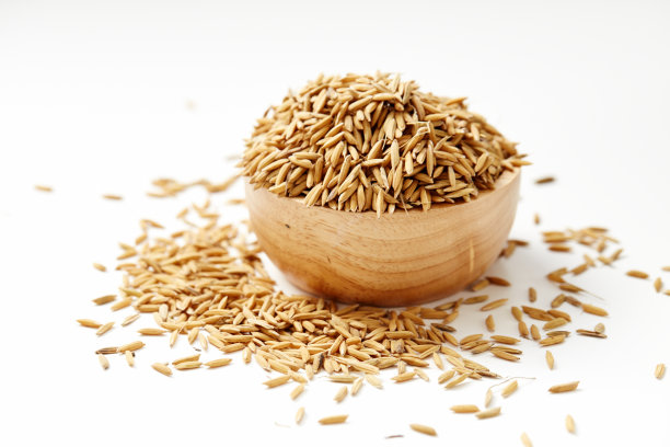 稻谷图片素材ID：310939584