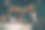 生日聚会吐司图片下载
