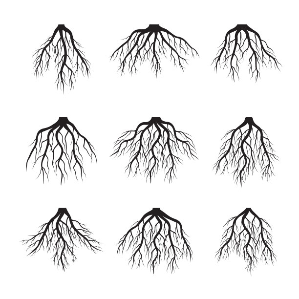 黑根组图片下载