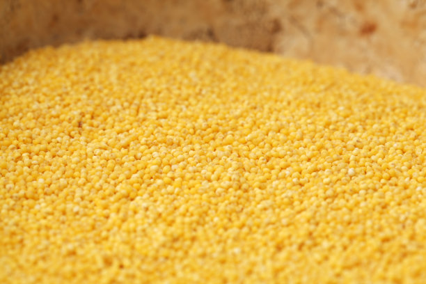 小米的背景图片下载