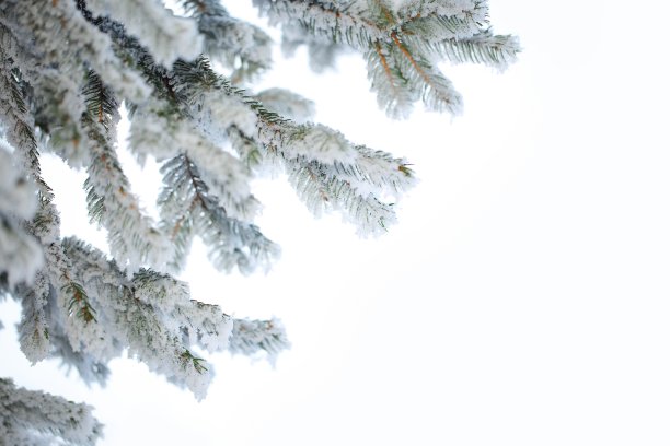 圣诞节的背景是冬天下雪图片下载