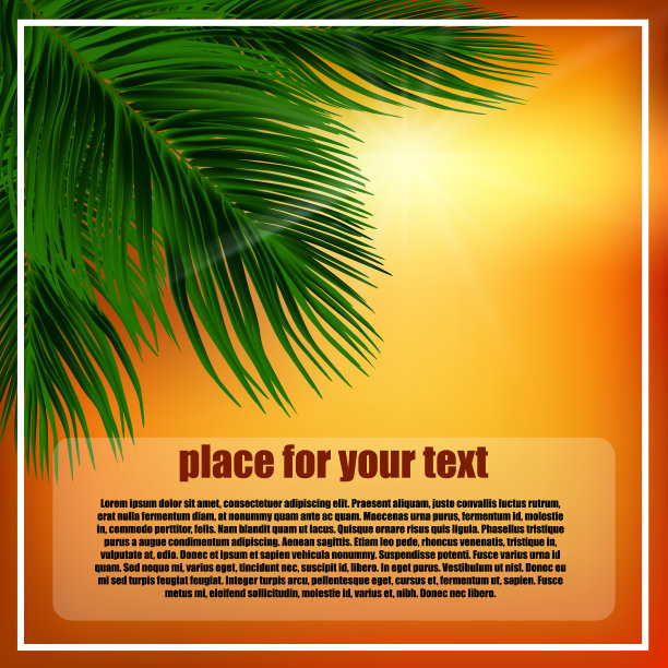 夏季背景与橙色的天空，日落，棕榈绿色的叶子和文字的地方图片下载