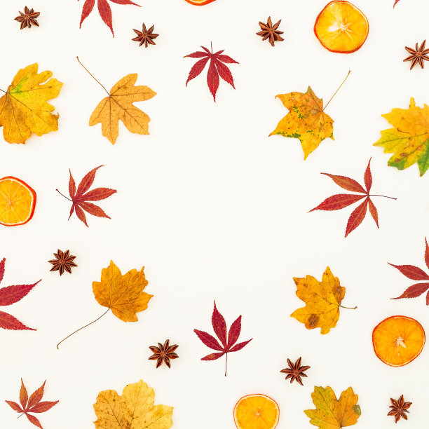 圆圆的框架组成的秋天枫叶，干橙和星星在白色的背景。平躺，俯视图。图片下载