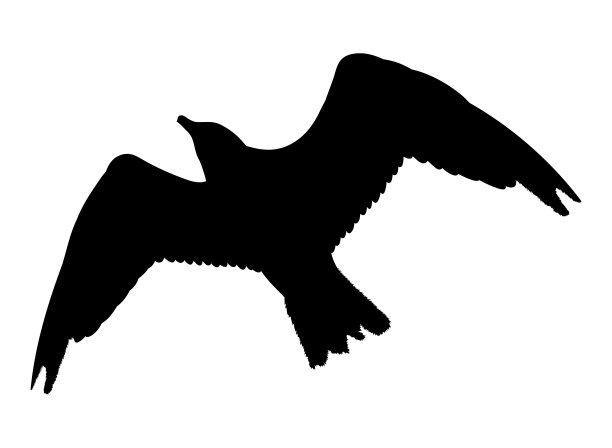 海鸥飞行的轮廓孤立在白色的背景。矢量图图片下载