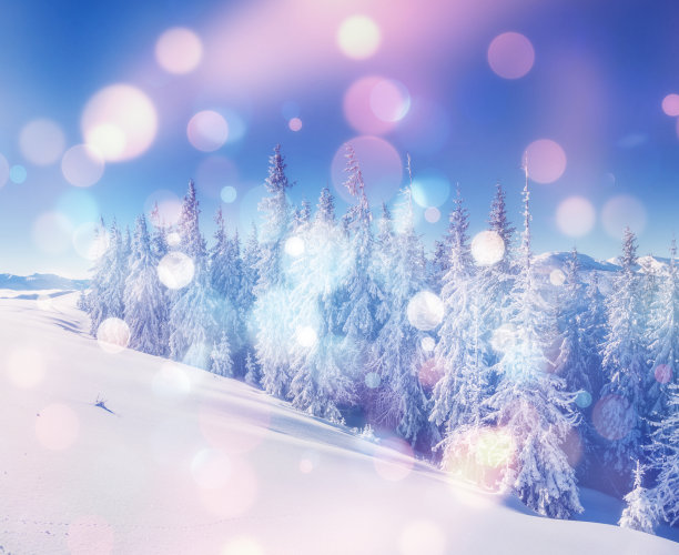 戏剧性的场景。位置:欧洲，乌克兰，喀尔巴阡。图片下载