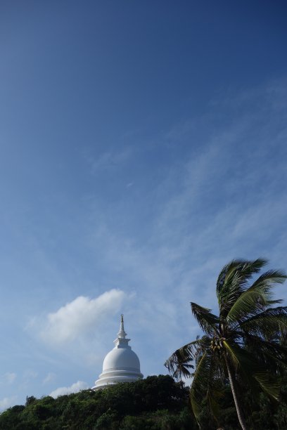 斯里兰卡丛林海滩附近的寺庙图片下载