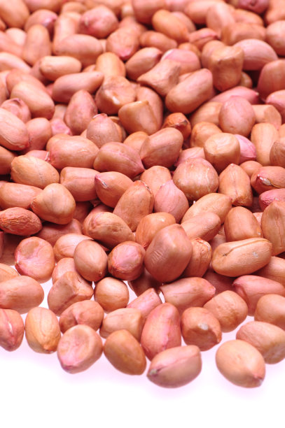 红色花生照片孤立在白色背景图片下载
