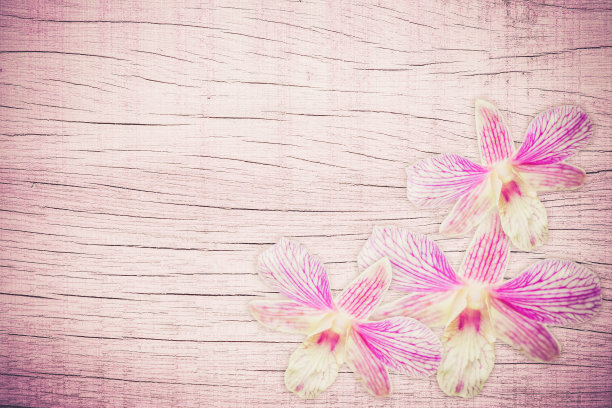 粉红色的木头背景图片下载