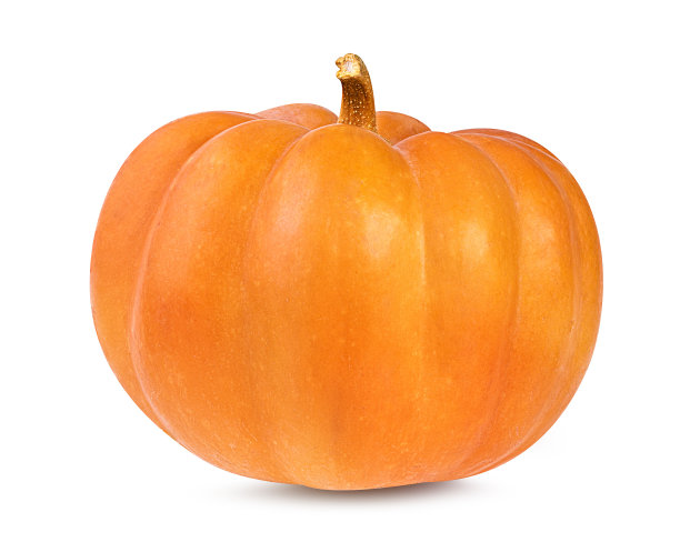 白色背景上的南瓜。图片下载