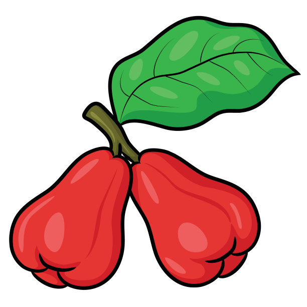 玫瑰苹果卡通图片下载