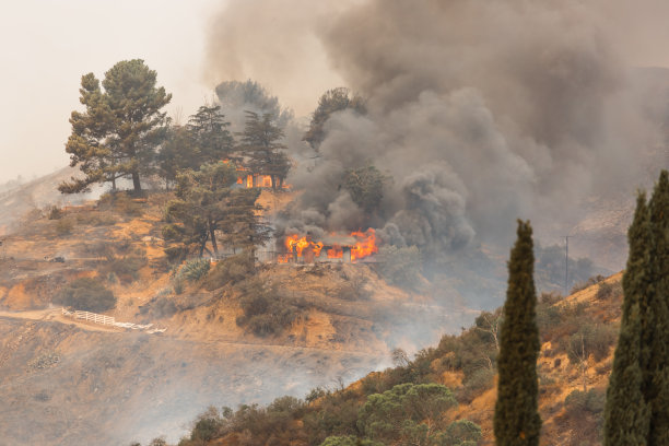 加州洛杉矶的金枪鱼大火烧毁了一座建筑图片下载