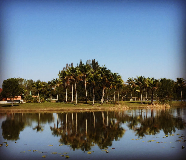 马卡姆公园的绿树成荫的湖图片下载