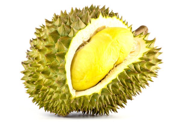 水果之王，榴莲孤立在白色的背景下，榴莲是一种有臭味的水果。图片下载