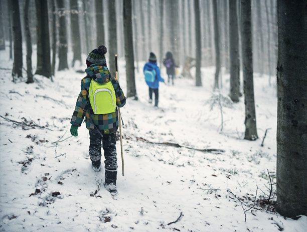 孩子们在薄雾弥漫的冬日森林里徒步旅行图片下载