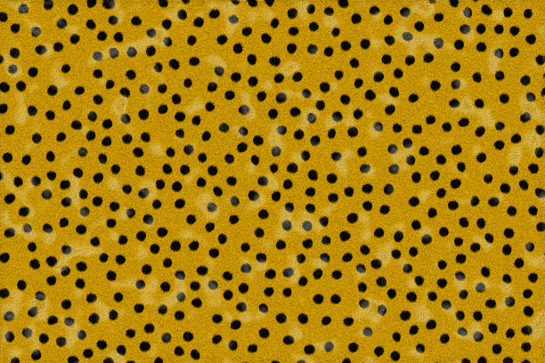 特写照片，电脑生成动物皮肤纹理斑点图片下载