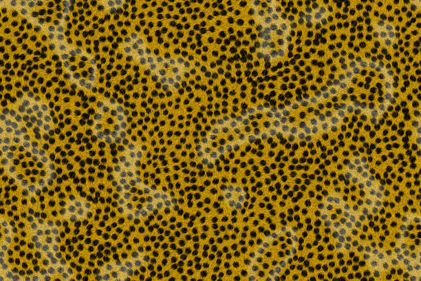 特写照片，电脑生成动物皮肤纹理斑点图片下载