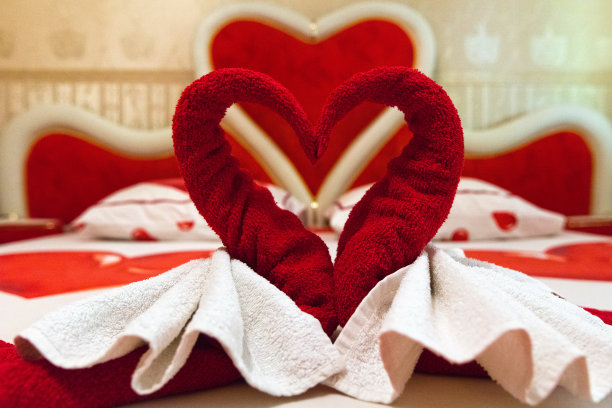 红色天鹅图片下载