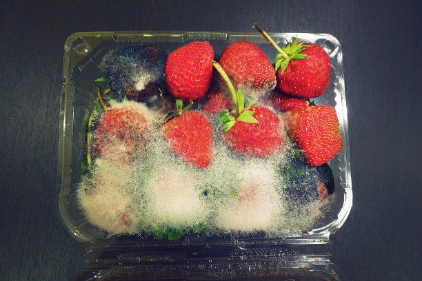 许多腐烂的新鲜草莓水果在一个塑料携带盒图片下载