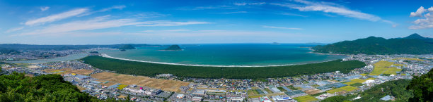 日本松林全景图片下载