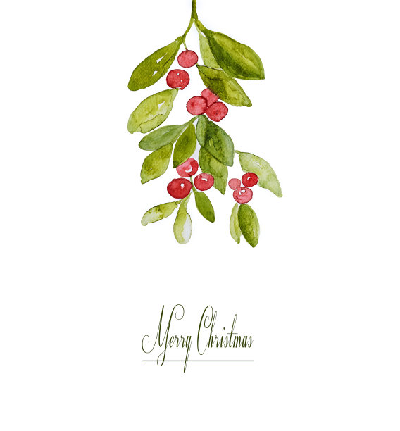 水彩《冬莓》(手绘)图片下载