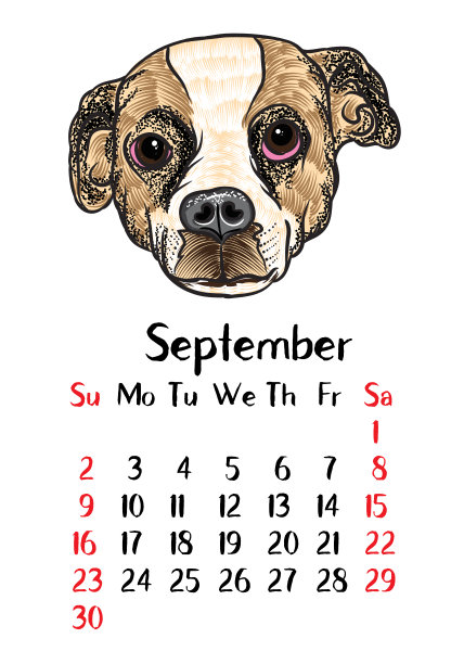搞笑快乐狗，2018年日历设计。过年、狗年生肖月报卡片模板。可爱的小狗向量。图片下载