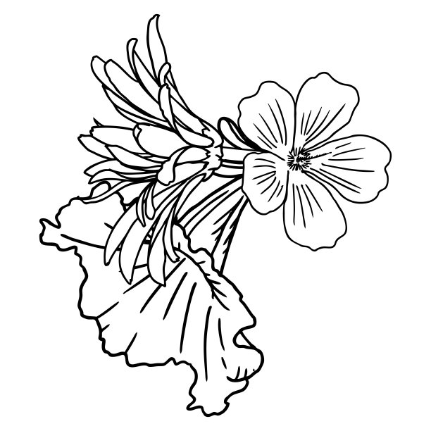 花。一束不同的手绘花。复古黑白相间，可作为请柬、贺卡、打印矢量。图片下载