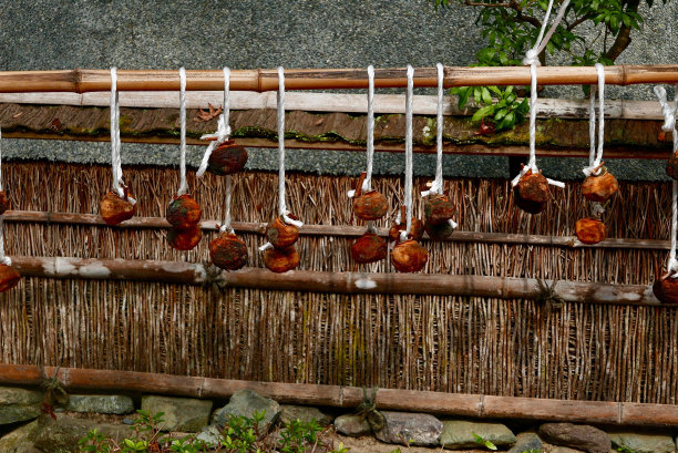 柿子挂干了图片下载