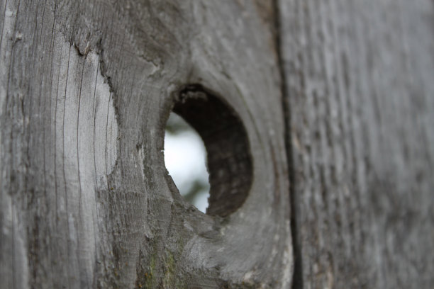 看看外面的世界图片下载