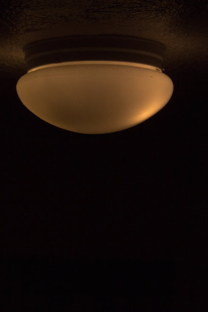 轻森林图片下载