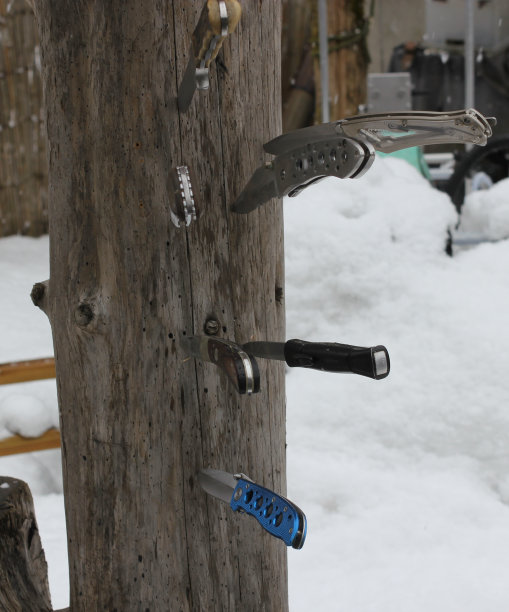 一些各种各样的刀在一棵老树上图片下载