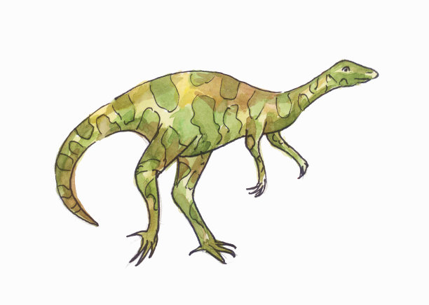 恐龙的水彩画。绿翼龙图片下载
