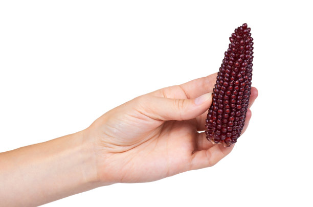 在白色背景上孤立的印第安玉米图片下载