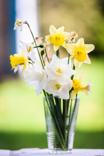 自制水仙花花束，以自然为背景。图片下载