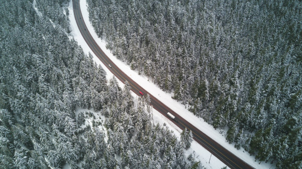 胡德森林鸟瞰图图片下载