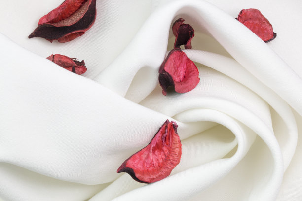 红玫瑰的叶子和白色的织物。爱情和爱情日的概念图片下载