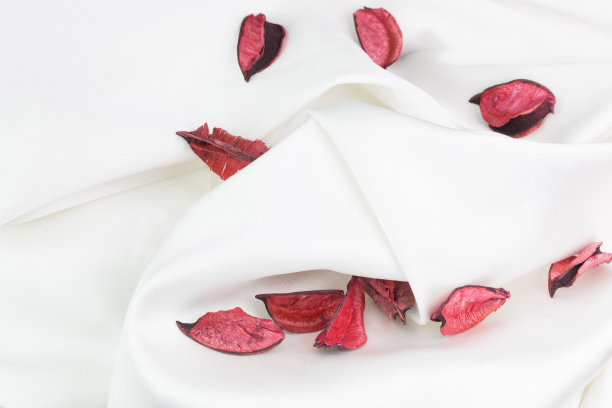 红玫瑰的叶子和白色的织物。爱情和爱情日的概念图片下载