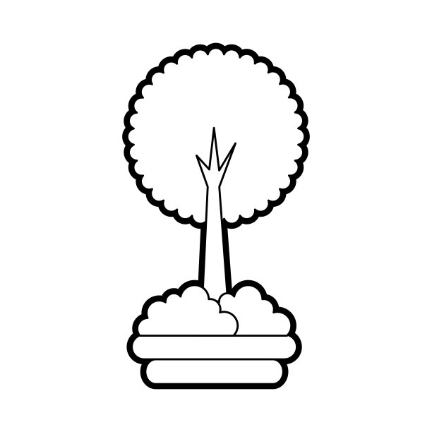 树木森林天然露营观叶植物图片下载