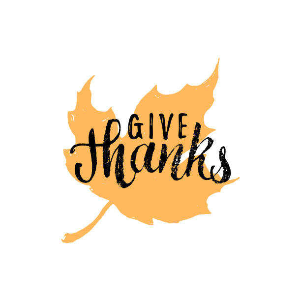 枫叶矢量插图与给予感谢的字母。邀请或节日贺卡模板。图片下载