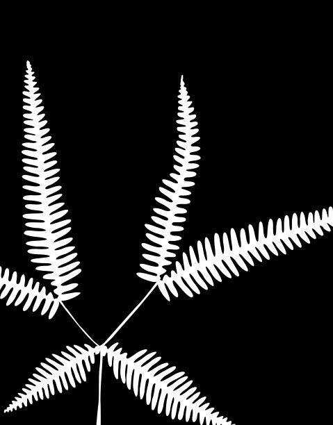 工厂模式图片下载