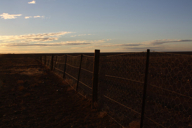 日落时分的野狗围栏，位于澳大利亚中部图片下载