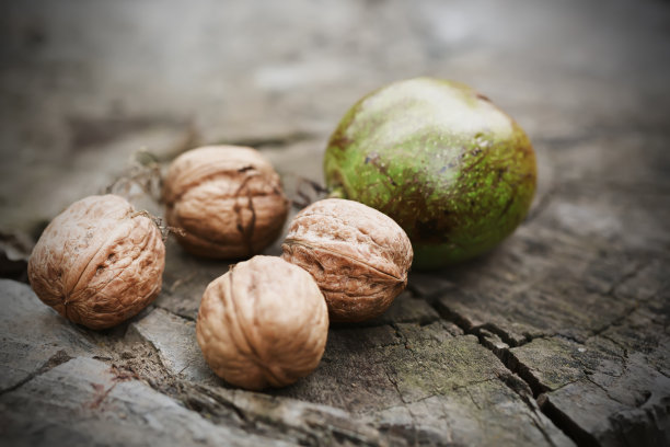 原木上新鲜采摘的带壳核桃。自然的概念。有选择性的重点。图片下载
