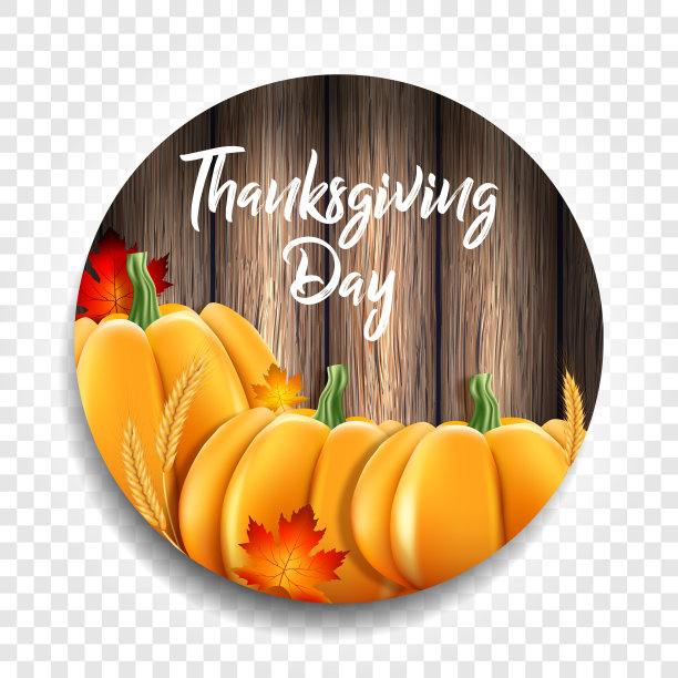 圆形矢量插图感恩节假期。图片下载