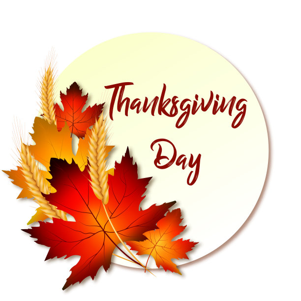 感恩节的标签或贴纸。真实的叶子和小麦穗在一个白色的背景图片下载