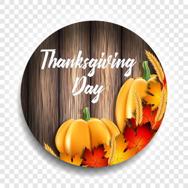 圆形矢量插图感恩节假期。图片下载